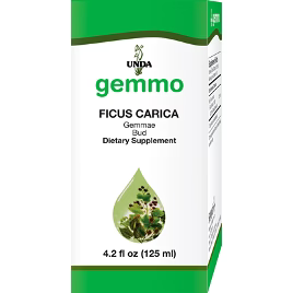 Ficus Carica 4.2 oz H217956