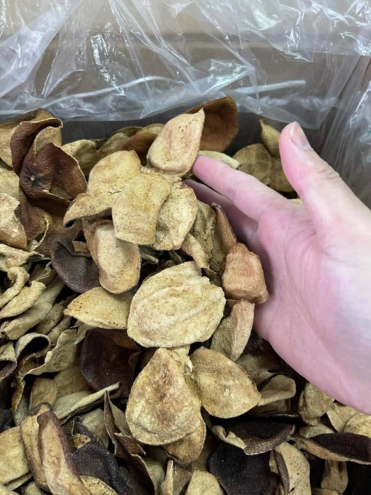 Dried Aged Orange Citrus Peel 200G W905