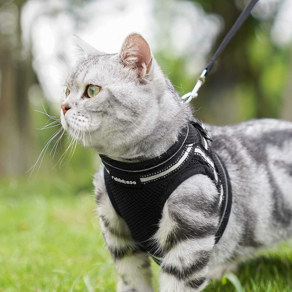 Cat Harness and Leash Soft Adjustable Vest K218