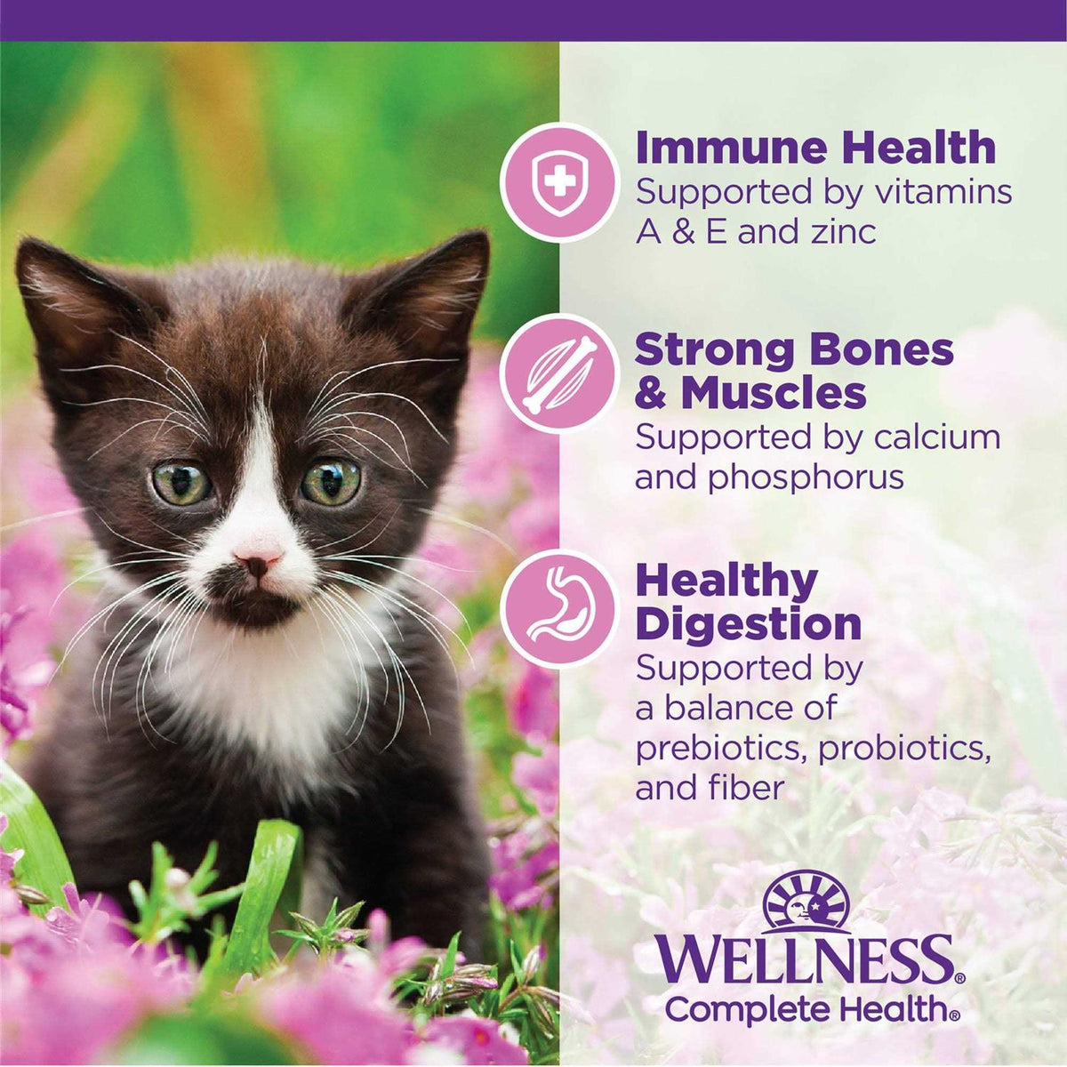 Chicken Dry Kitten Food H50599