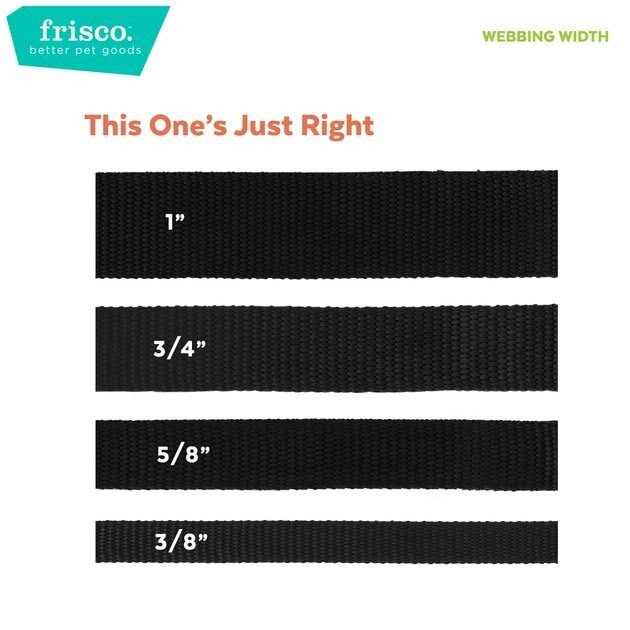 Ombre Dog Leash Z998