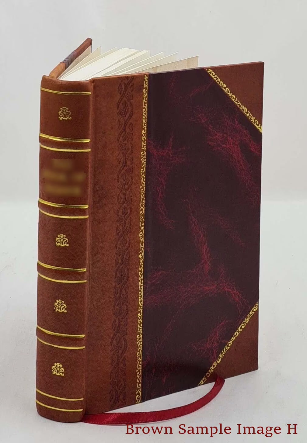 Leather Bound Book V127