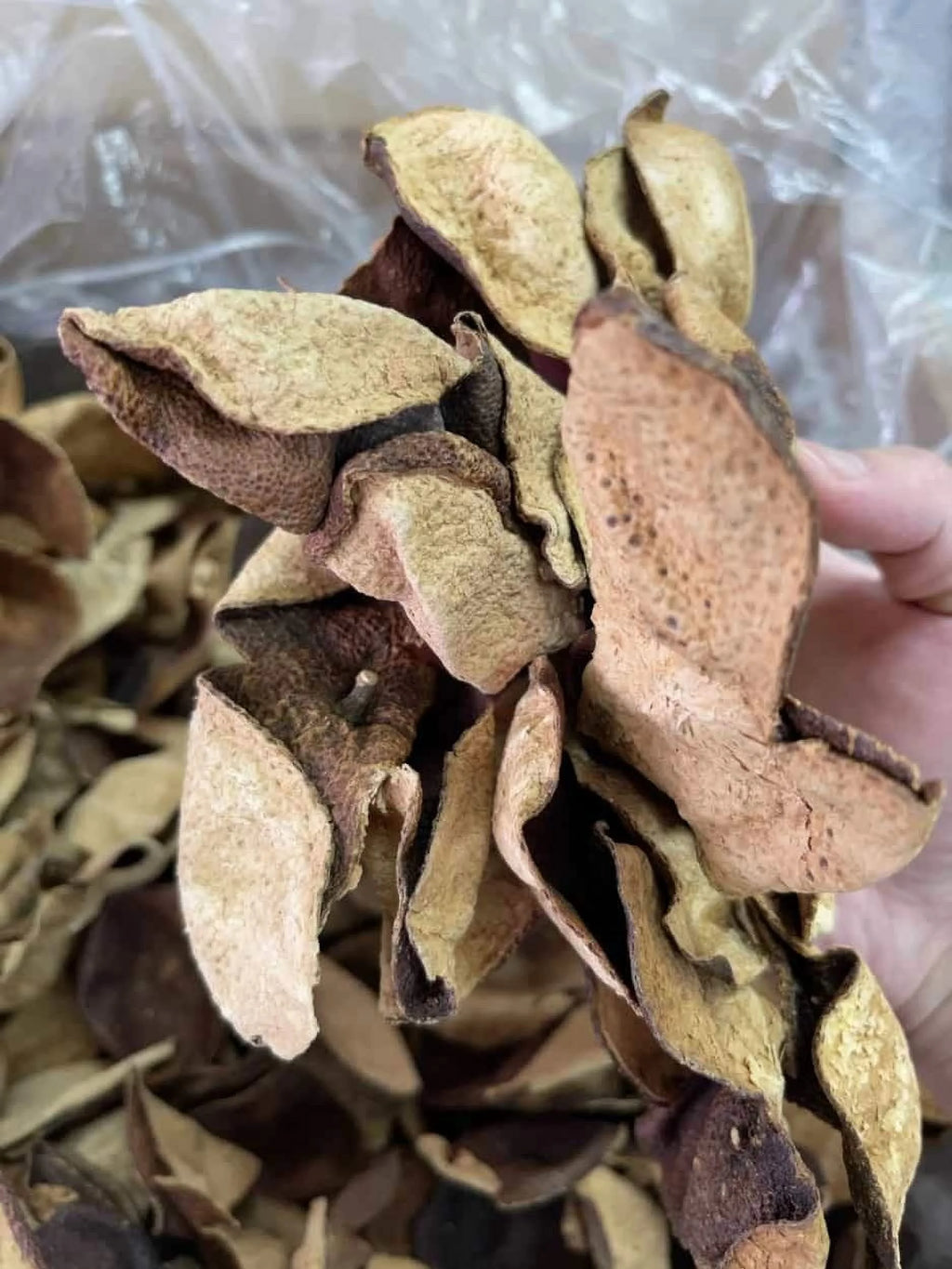 Dried Aged Orange Citrus Peel 200G W905
