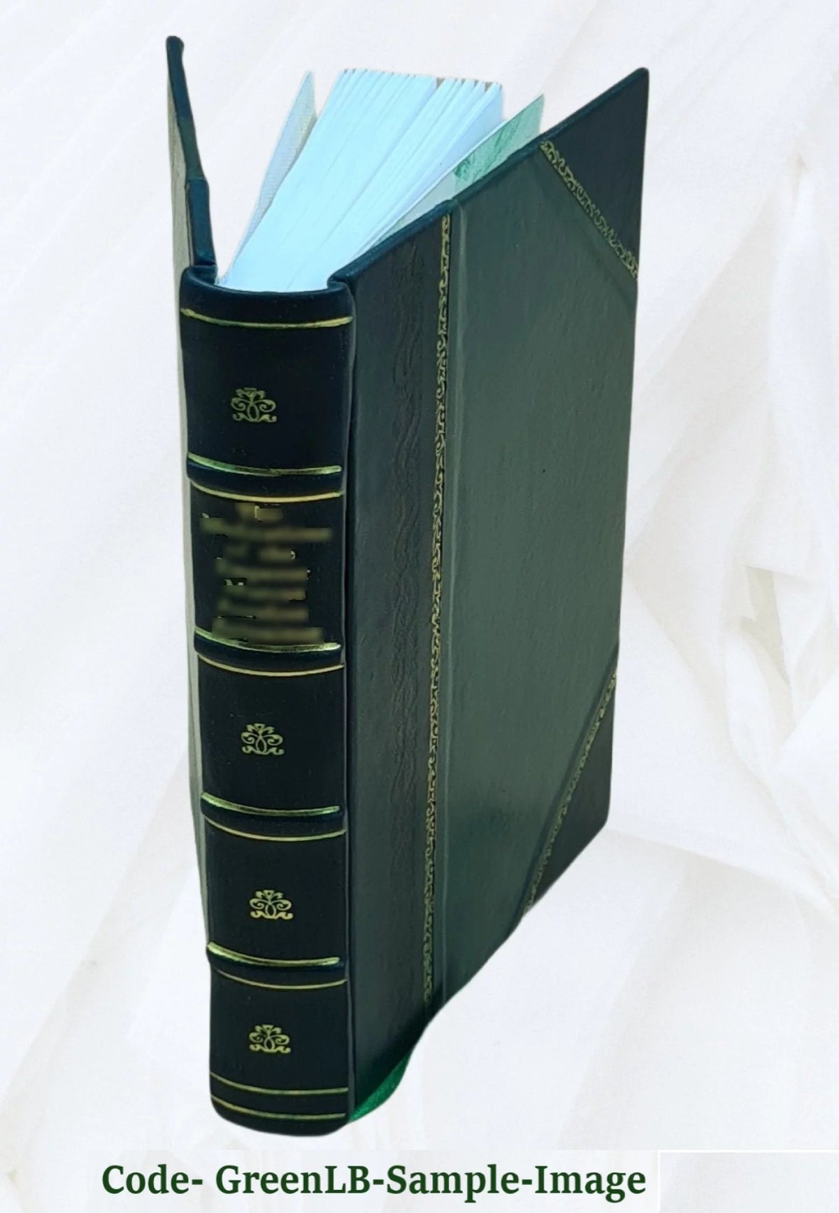 Leather Bound V431251