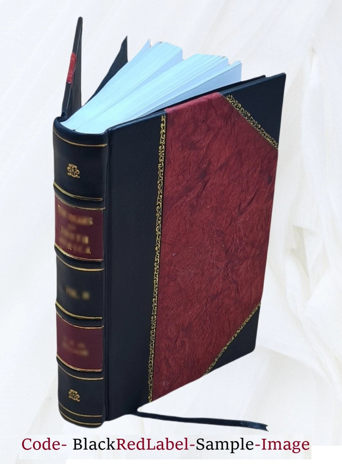 Leather Bound V431251
